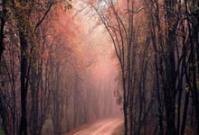 18岁176天!斯凯利成英格兰首秀破门最年轻球员,打破拉师傅纪录.