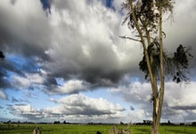 爱游戏:决胜0.01秒!杭州亚残运会田径赛事精彩收官潮新闻.