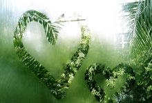 西媒:费兰-托雷斯、劳尔-阿森西奥和皮诺将缺战西班牙对荷兰比赛.