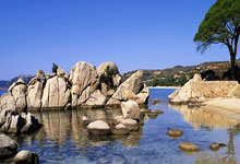 亚冬会丨短道速滑项目收官 中国队收获2金2银4铜2025-02-09.